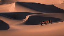 6 Days Gobi Desert Tour with complimentary airport pickup 