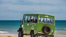 Doñana 4x4 and El Rocío Tour
