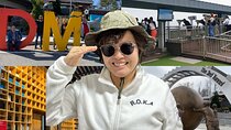 DMZ Military Marvels Cultural Gems and Shopping Sensations