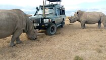 6 Days Rhino Safari to Ol Pejeta Samburu Solio and Aberdares