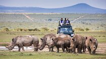 4-Day Ol Pejeta, Aberdare,& Solio Ranch Safari on 4x4 Jeep