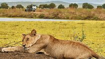 2 Days Private Safari Tour of Mikumi