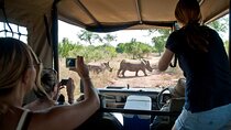 2Days Solio Ranch Luxury Safari by 4x4 Landcruiser Jeep