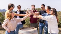 Montserrat Full Day Tour with Farmhouse Lunch and Winery Visit