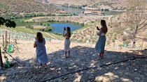 From Gaia Tour to Douro Valley with Boat Wine Tasting and Lunch