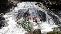 Half Day Ubud Waterfall Tour