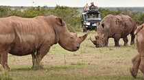 Solio Ranch Rhino Watch Safari Day Trip From Nairobi