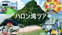 VIP Ha Long Bay 6 hour FUJI cruise with latest luxury cruise ship + limousine + highway + dinner for Japanese only