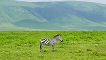 6 Days Memorable Great Migration Tour in Mara Crossing