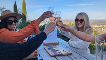 Beaujolais Day Guided Tour - Winery Tours and Tastings