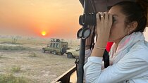 7 Days Budget Uganda Wildlife Safaris, Gorilla Trekking & Hiking