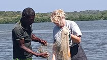Local Fishing Tour, Mangroves and Bird Watching with Lunch 