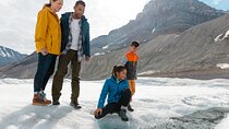 Columbia Icefield Parkway Peyto lake Bow lake Day Trip