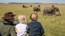 6-Days Private Midrange Safari: Serengeti & Mt Kilimanjaro Hike