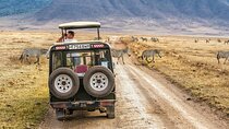 2 Day Safari To Tarangire & Lake Manyara from Zanzibar