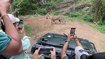 Ranthambore tiger reserve day trip from Jaipur All Inclusive