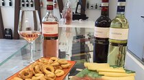 Tasting of 6 Rosè and White Wines in Bardolino with Lake View