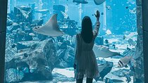 Atlantis Lost Chambers Aquarium Ticket