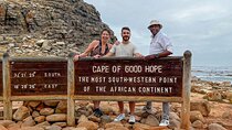Full Day Private Cape Peninsula and Boulders Beach Tour