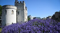 Westminster Private Walking Tour & Visit The Tower of London