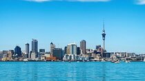 Private Street Food Tour of Auckland with a Local Guide