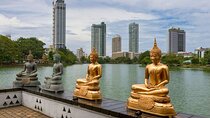 Colombo Street Food Tour With A Local Guide