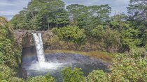 Private Hilo Shore Excursion - Botanical Gardens & Waterfalls