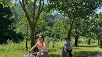 Ninh Binh full day - Trang An boat trip - Dragon Mountain