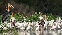 3 Days Angkor Archaeological and Bird Heritage Private Tour