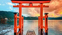Private Customizable Tour in Hakone