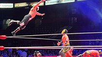 Wrestling Night and Taco Tasting
