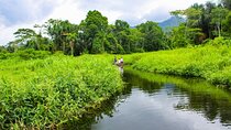 3 Day Manu Amazon Rainforest (Private Tour)