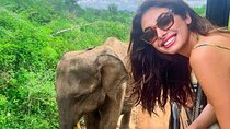 Sri Lanka 8 day Tour