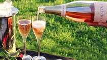 Cape Town Private Tour Robben Island and Constantia Wine Tasting