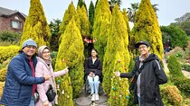 10Hours Private Guided taxi Driver tour in jeju island