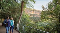 Blue Mountains Express includes Three Sisters Hiking Option