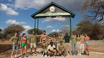 5 Days Serengeti Camping Safari