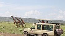 6 Days Serengeti Safari(hiking waterfalls &coffee tour) 