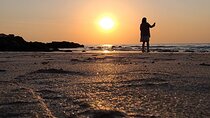 Olle Trail Sunset Tour in Jeju Island 