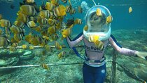 30 Minutes Ocean Walking in Nusa Dua, Bali