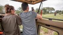 3Days Safari to Tarangire Ngorongoro and manyara lodge safari 