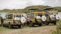6 Days Serengeti Big Five Mid-Range Lodge Safari in Tanzania
