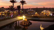 Dubai Big Bus Hop On, Hop Off Tour and Desert Safari