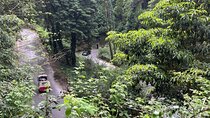 Scenic hiking tour in Sintra