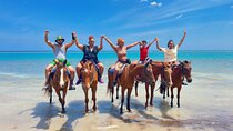 Zipline, Dunn’s River Falls, Bamboo Rafting & Horseback Ride Tour