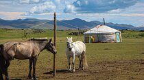 6 Day Tour-The Best of South Korea and Mongolia