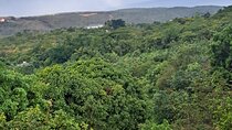 Private Jamrock Herbal Trek at Discovery Bay Jamaica
