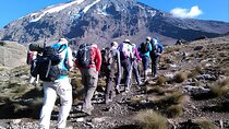 Lemosho Route 8 Days Highlights