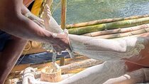 Bamboo River Rafting & Limestone Massage from Ocho Rios 