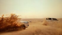 Abu Dhabi Desert Safari Tour with Shows & Buffet Dinner